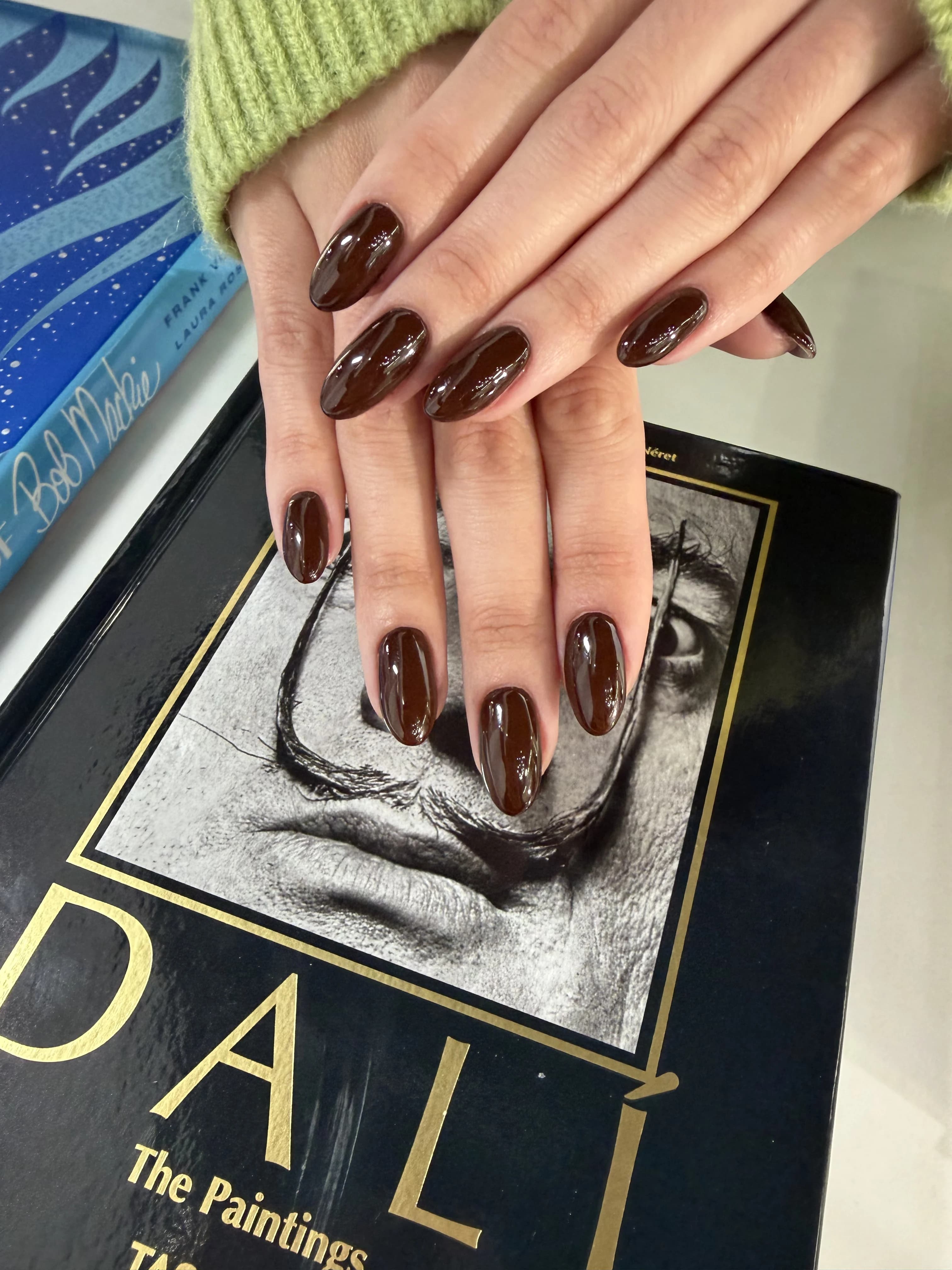 A client displays a glossy dark brown manicure over a black and gold art book